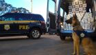 PRF apreende carga de cocaína avaliada em R$ 4 milhões