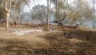 PMA autua assentado por realizar incêndio em área de pastagem no Pantanal