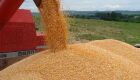 Balança comercial de MS tem superávit de US$ 1,4 bi em sete meses, com destaque para o milho