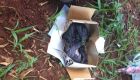 Imagens fortes: Operação investiga aborto clandestino na Capital