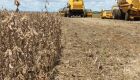 Governo come&ccedil;a a liberar recursos para financiar a safra agr&iacute;cola 2017/2018