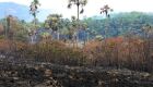 Peritos da Polícia Federal já atuam para investigar incêndio na Chapada