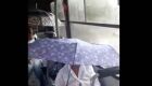 Passageira filma usuários de guarda-chuvas em coletivo para não se molharem