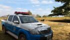 Patrulha Rural da PM recupera gado furtado em Paranaíba