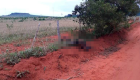 Imagens Fortes: Corpo é encontrado queimado próximo ao Paraguai