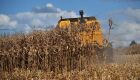 Brasil deve colher 55 milhões de toneladas de milho de segunda safra