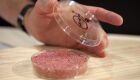 Empresa alemã investe em carne produzida com cultura de células