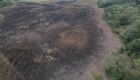 A emissão de licença para queimada está proibida até o dia 30 de setembro e 31 de outubro no Pantanal