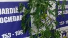 O pé de maconha foi arrancado e a Guarda Municipal intensificou as rondas no local