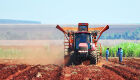 Setor agropecuário também encerrou com saldo positivo, com 3.245 postos no Brasil