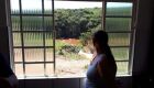 Da janela de sua casa em Brumadinho, Sandra Maria observa o local tomado pela lama