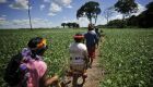 Os índios estão na área desde 2013; cerca de 300 pessoas moram na região