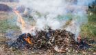 Colocar fogo em lixo no quintal ou terreno baldio é crime