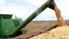 Números apontam produtividade 6% superior aos 227,6 milhões de toneladas colhidas na última safra de grãos