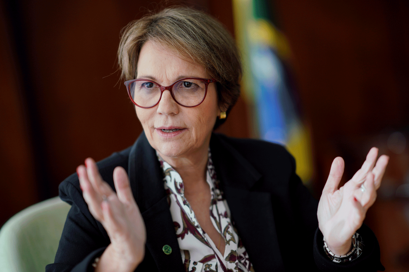 Tereza Cristina, ministra da Agricultura, Pecuária e Abastecimento