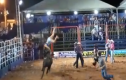 Vídeo mostra mulher “voando” depois de ser chifrada por touro
