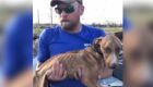 Cão foi nomeado como Miracle por voluntários do Big Dog Ranch Rescue