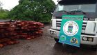 PMA autua três por carga ilegal de madeira