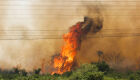 Governo intensifica combate de queimadas no Pantanal