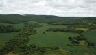 Desmatamento ilegal de vegetação em Guia Lopes da Laguna