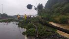 Corpo de bombeiros em Santa Catarina após ciclone: desabamento de árvores levou a pelo menos uma morte no estado