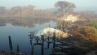 Durante os últimos dois meses, ao menos 704 mil hectares foram queimados no Pantanal
