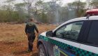 PMA multa assentado em R$ 2 mil por desmatamento, exploração de madeira e incêndio de vegetação
