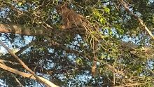 Foto foi tirada por um morador durante a manhã desta sexta