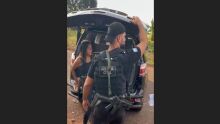 Pris&atilde;o aconteceu em Campo Grande pela Denar