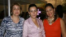 Clenira , Cristina Hair e Sandra Arruda 