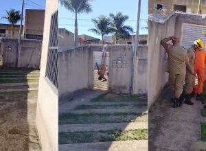 JD1TV: Homem tenta invadir casa, mas fica peladão após roupa enganchar em muro