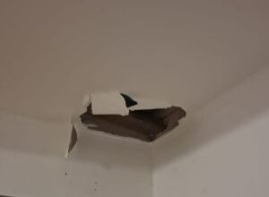 Homem invadiu a casa pelo forro