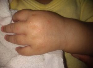 Beb&ecirc; de um ano &eacute; encontrada sozinha na rua ap&oacute;s briga de casal
