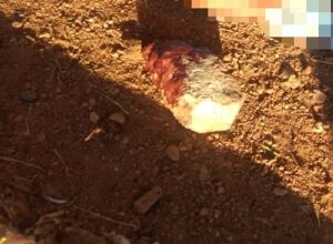 Imagem ilustrativa | Pedra com sangue