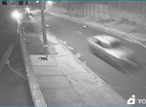 Carro fugiu do local do crime