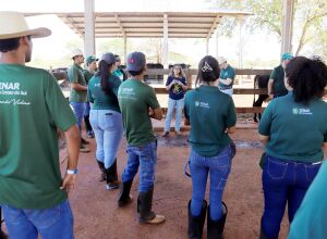 Transforme seu futuro no agro: Senar/MS abre 480 vagas em cursos t&eacute;cnicos gratuitos