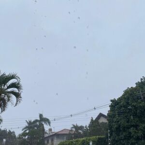 whatsapp-image-2025-11-17-at-085326 home