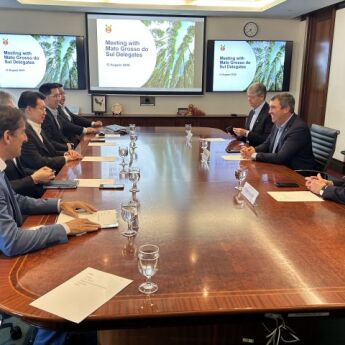 Singapura mira tilápia de MS em meio à sobretaxa dos EUA