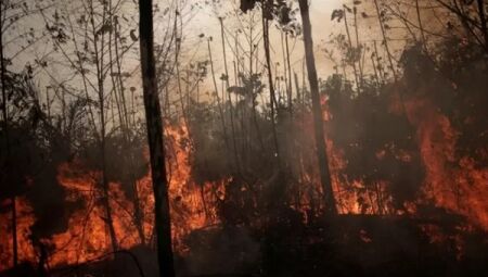 Ibama autoriza contratação de brigadistas para combate a incêndios no Pantanal