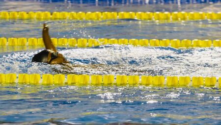 Modalidade da nata&ccedil;&atilde;o 