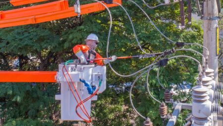 Poda preventiva realizada pela Energisa 