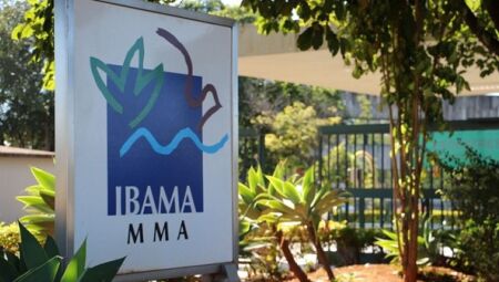 Nova plataforma do Ibama ajudará a acompanhar recuperação ambiental no Brasil