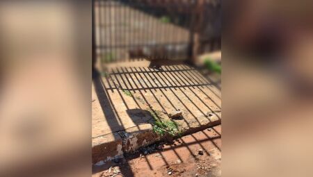Idosa morre dias depois de ser atingida por portão em Dourados