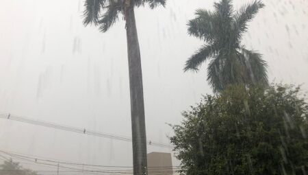 Inmet emite novo alerta de chuva e vento forte para Capital e 40 cidades de MS