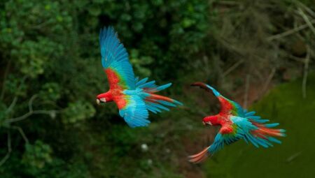 Turismo estadual conquistou dados significativos comparados ao mesmo per&iacute;odo do ano anterior 