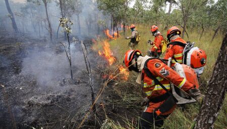 Acrissul divulga nota sobre os incêndios no Pantanal; confira