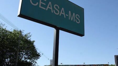 Ceasa/MS - 