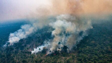 Brasil teve mais de 22 milhões de hectares atingidos pelo fogo até setembro