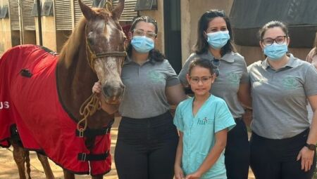 Projeto  "Galopes de Alegria: Cavalos que Curam"