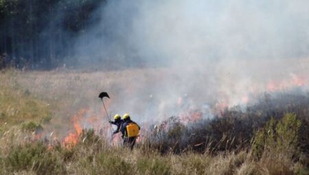 JD1TV: Bombeiros trabalham em 'queima de turfa' no Pantanal